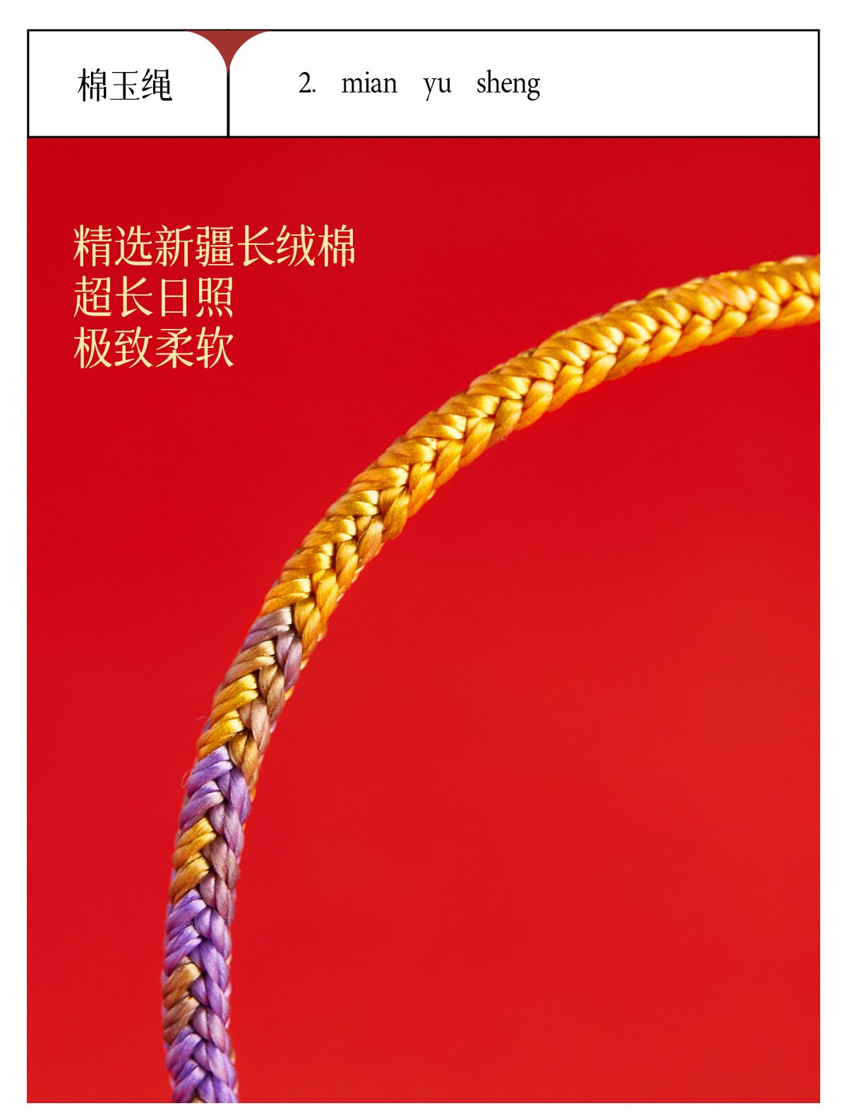 Nine Purple Fire Dragon Tai Sui Woven Red String Bracelet