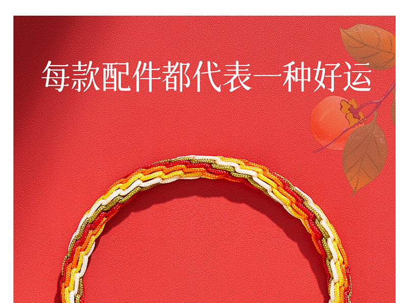 《Shishi Ruyi》 Cycle Multicolored Rope Braided Bracelet