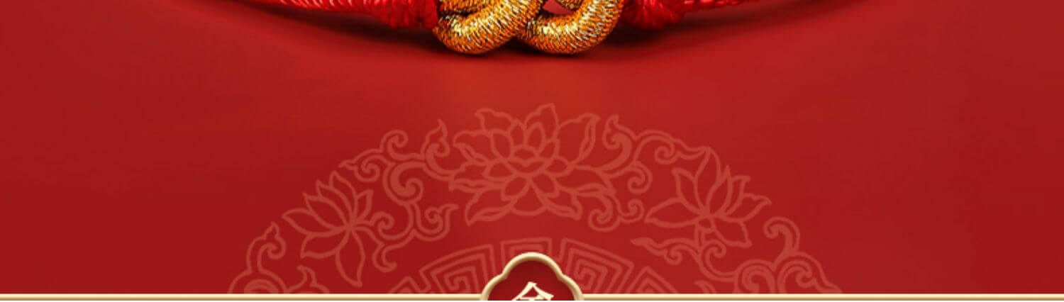 《Infinite Wealth》 Pu Tuo Mountain Dragon Year Red String for Year of Birth