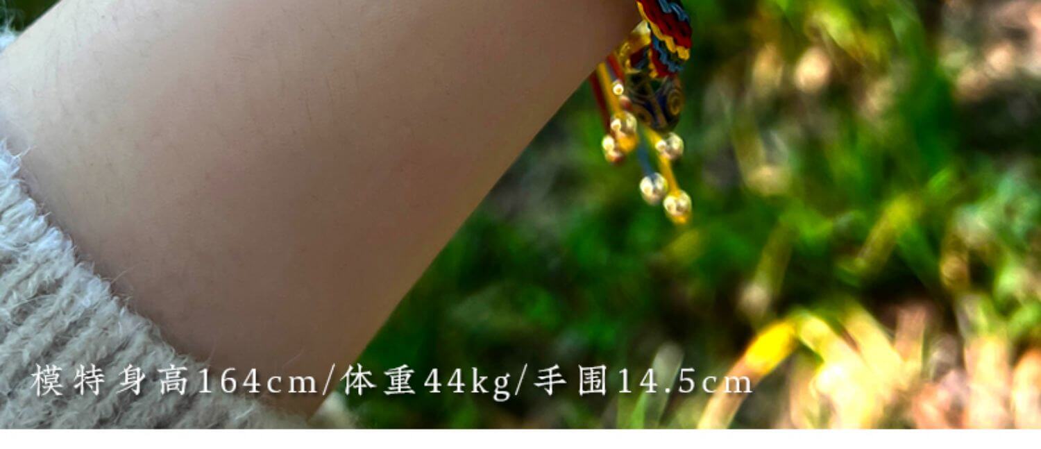 《The Golden Swallower》 Zodiac Multicolor Rope Woven Reincarnation Bracelet